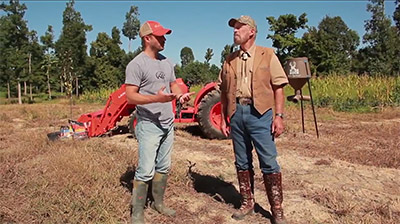 Changes in the Deer Woods