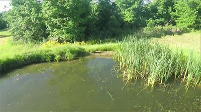 Late Season Thermal Cover