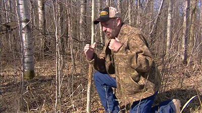 DNA and Whitetail Breeding Habits