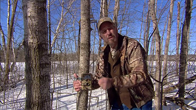 Getting the Most of Your Trail Camera