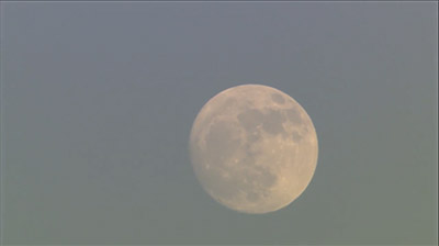 Moon Phase and the Rut