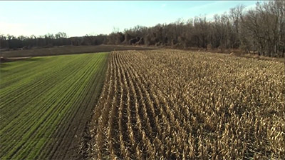 The Future of Whitetail Deer