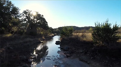 Public Land Management 