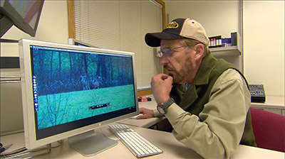 Examining Post Rut Buck Behavior