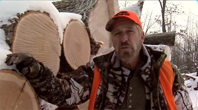 Logging is Good For Deer Property