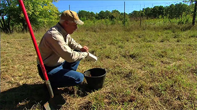 Maintaining Cool Season Food Plots