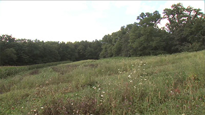 Planning Property Access Routes