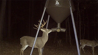 Most Important Month for Antler Development