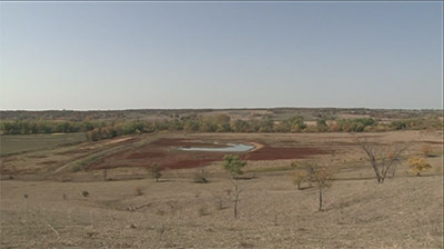 Solutions to Deer Herd Problems