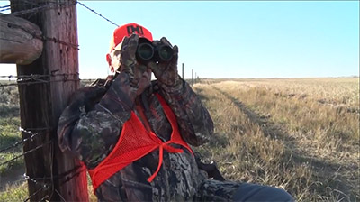 Wind and Deer Behavior 