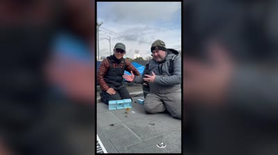 The Scoop on the New HideUp Coike Soft Plastic Bait