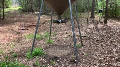 We take a look at a properly conducted supplemental deer feeding program.