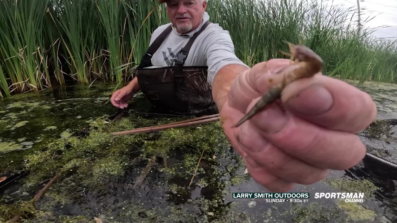 Larry Smith Outdoors - Outdoor Channel Plus