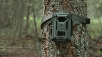 The Secret to Tracking Deer Patterns Year-Round - Solar Trail Camera Tips
