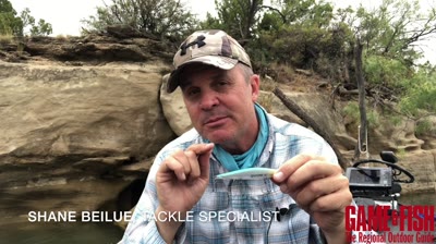Catch More Bass on a Jerkbait in the Cooler Months