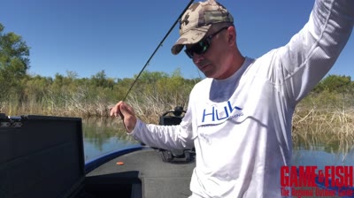 Action and Power Ratings- How to Choose the Right Bass Rod