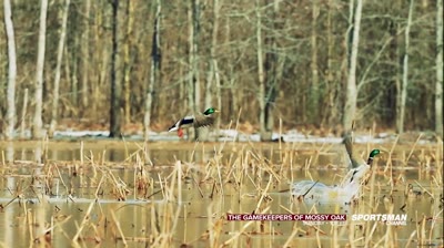 The Gamekeepers of Mossy Oak