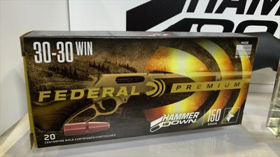 Federal Hammer Down Lever-Action Ammo