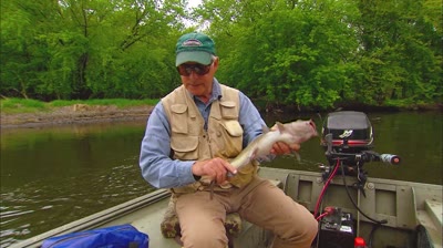 NextImg:Wilderness Catfish