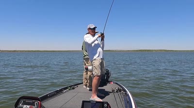 Bass Crash Course: How to Rig & Fish a Carolina Rig