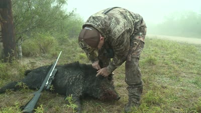 Mitch Petrie's First Hog?