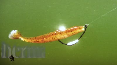 Weighted Swimbait Hooks in Action - In-Fisherman