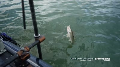 Larry Smith Outdoors