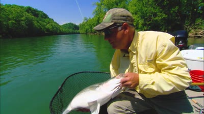 NextImg:From the Archives - Swimbait Stripers