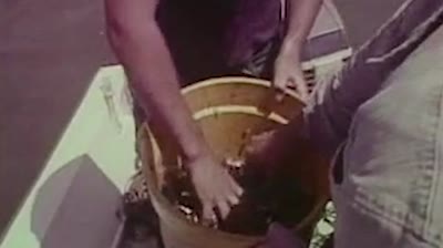 Inshore madness with Brett Martina and Kyle Pitts