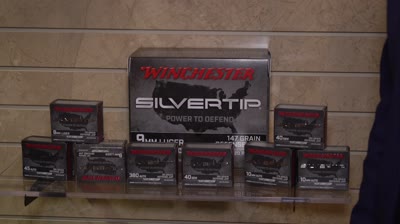 Winchester Silvertip Pistol Ammo - Power to Defend
