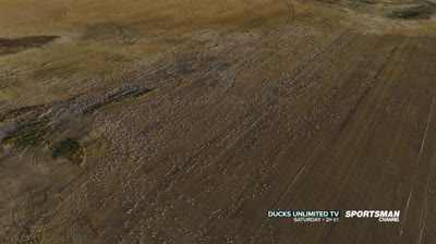 Ducks Unlimited TV