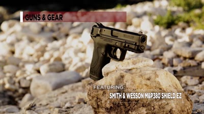 Smith & Wesson M&P380 Shield EZ