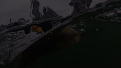 Zona's Awesome Fishing Show