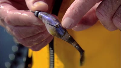 Softbait for Smallmouth