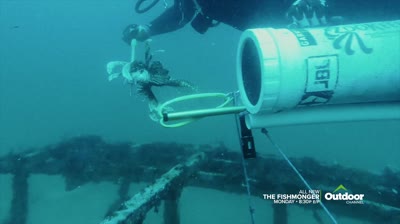 The Fishmonger: Lionfish Shoot Out