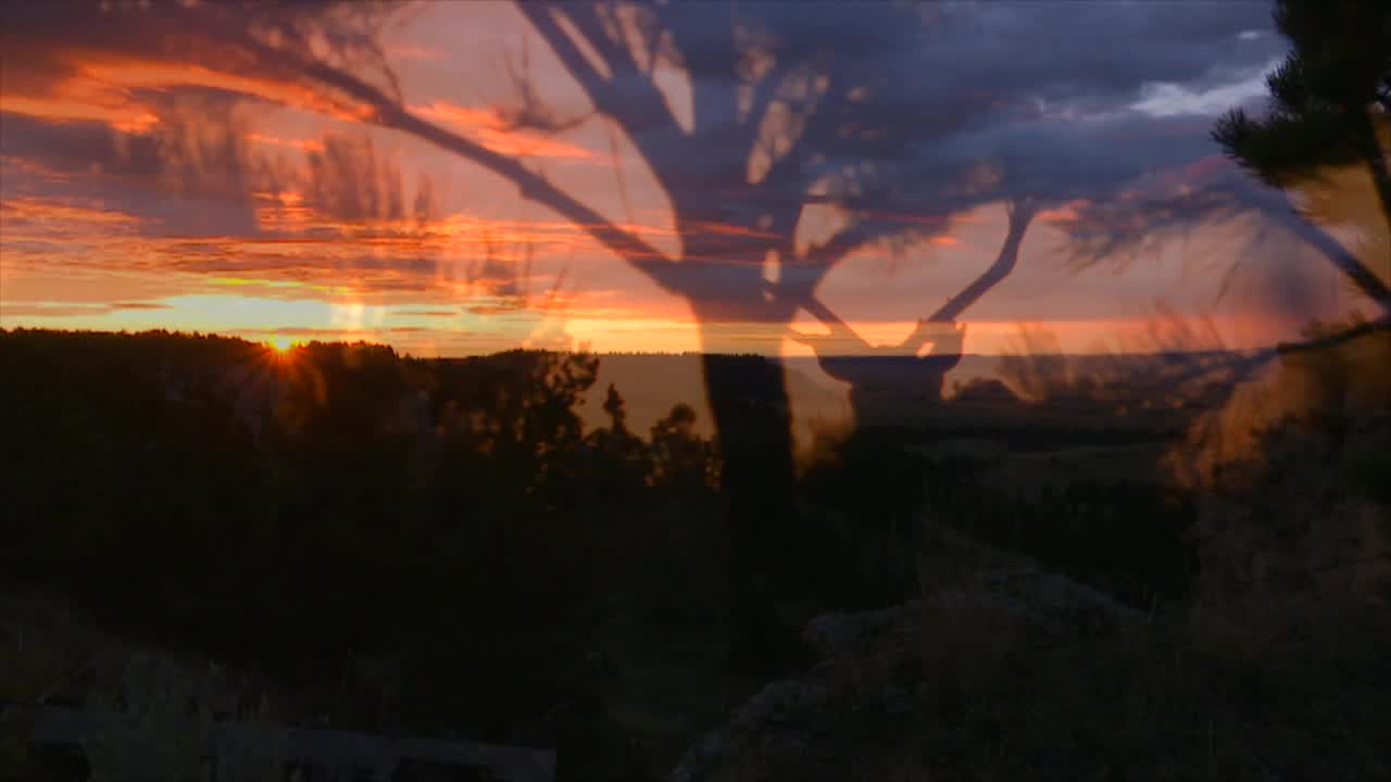 Bowhunter TV - Sportsman Channel