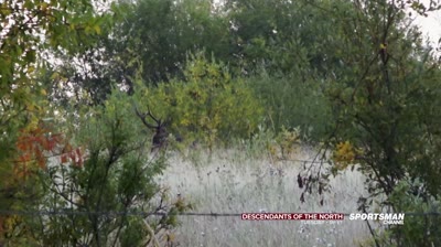 Descendants of the North