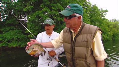 NextImg:Bedtime Bluegills