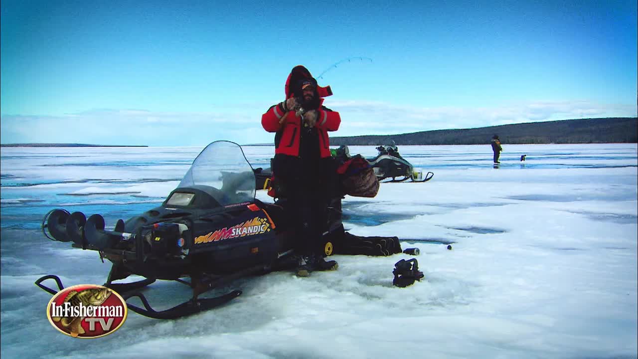 Lake Superior Whitefish