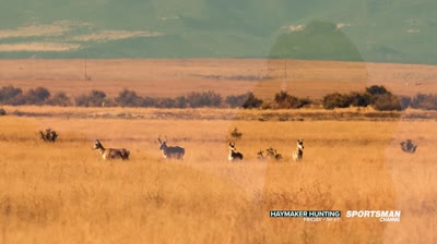 Haymaker Hunting Ultimate Season