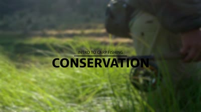 Fish Camp's Carp Course: Carp Conservation