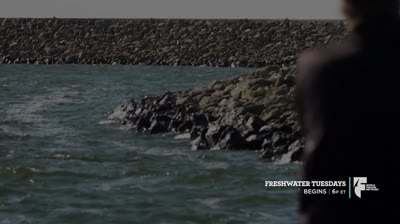 Freshwater Playground