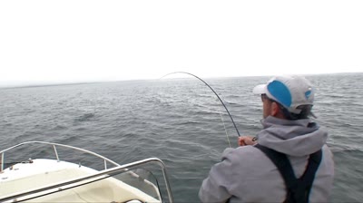 Location X Salmon on the Fly