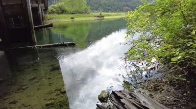 Precision Targeting Big King Salmon