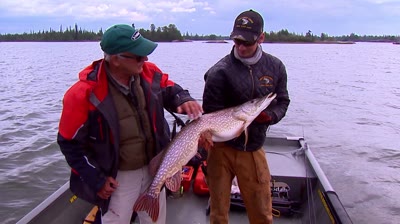 Bringing in Big Pike