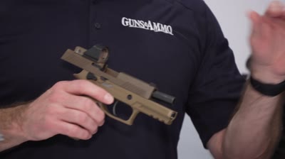 New SIG Optics and Pistols for 2020