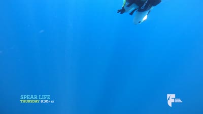 Spear Life