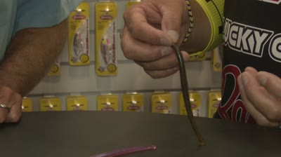 Bait Choices from Skeet Reese