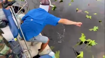 Alligators Harass Anglers in South Florida: New Freshwater Tax Man?