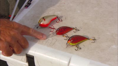 Summer Peak Largemouths